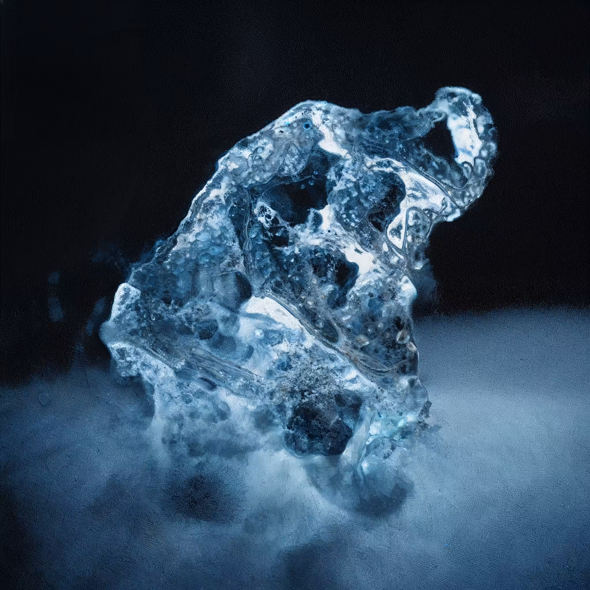(Land)scape: Polycarbonate