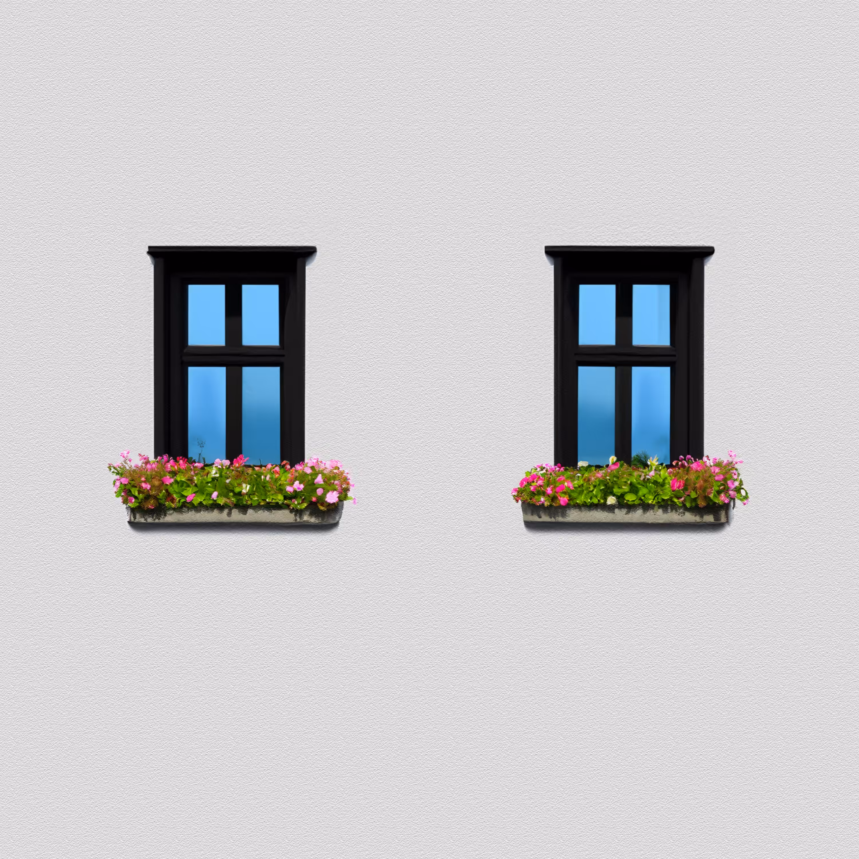 Windows #5