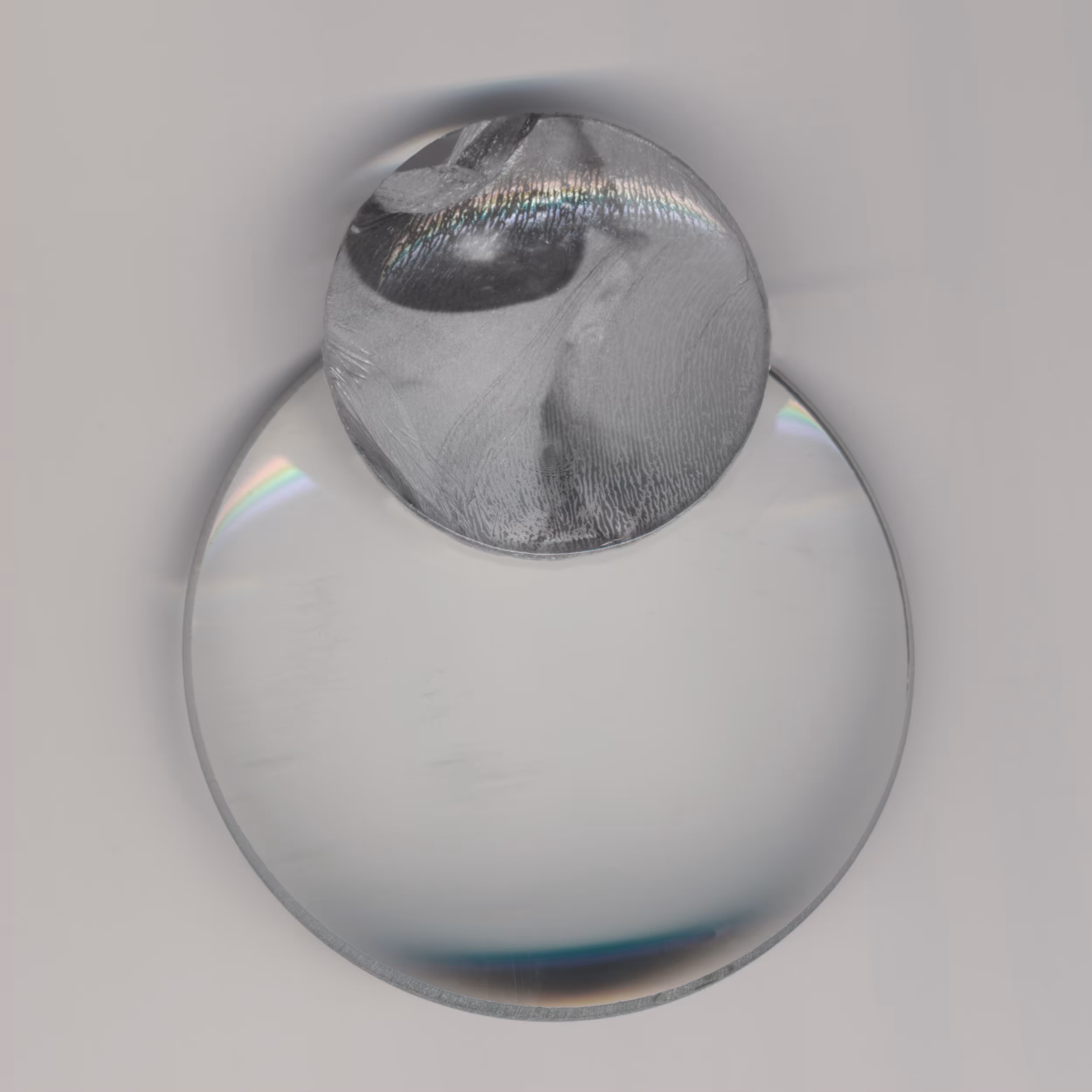 Felt connect (Privacy Portraits) 