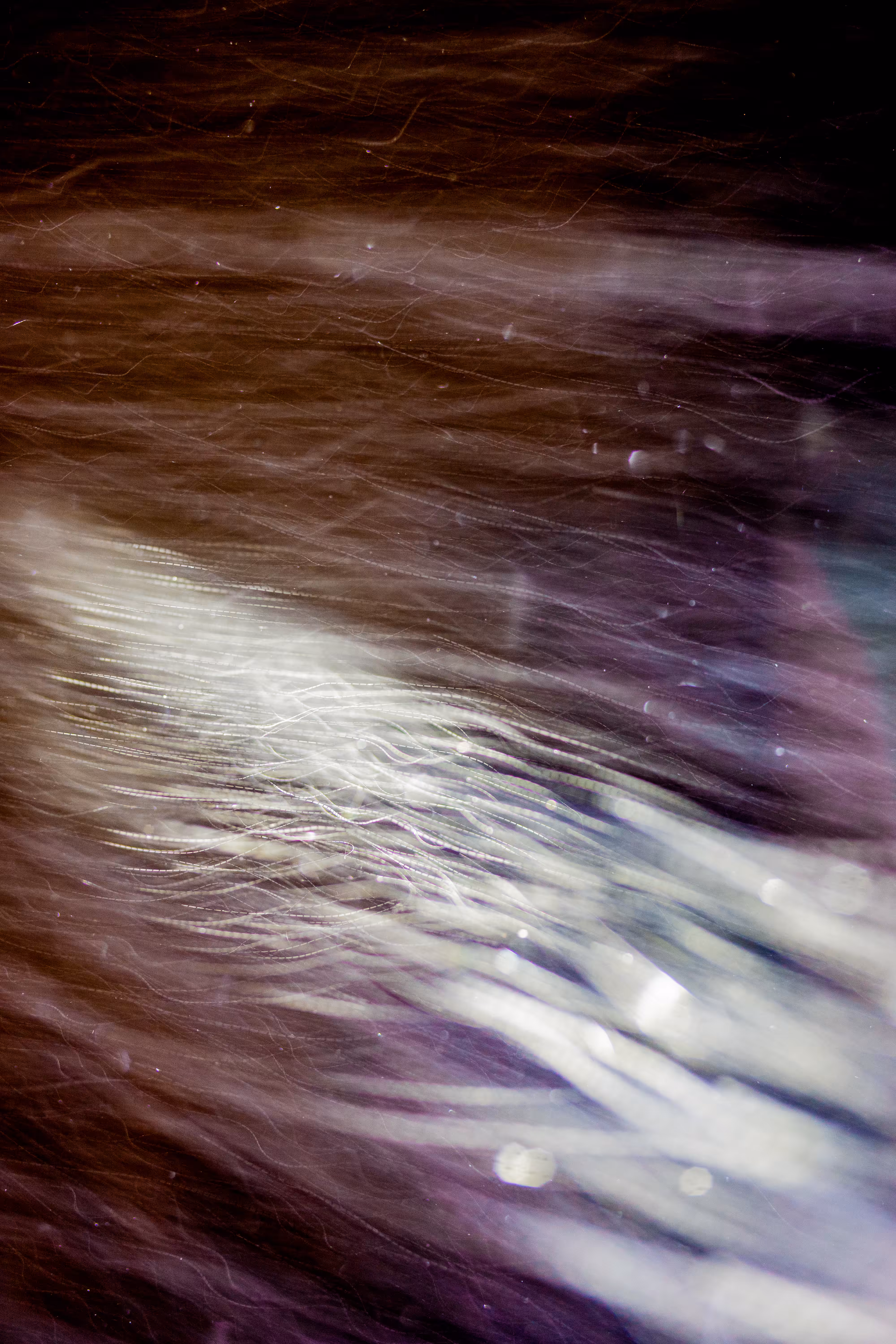 GISELXLIGHTSLURRY: L1210398 : An omen of the skies