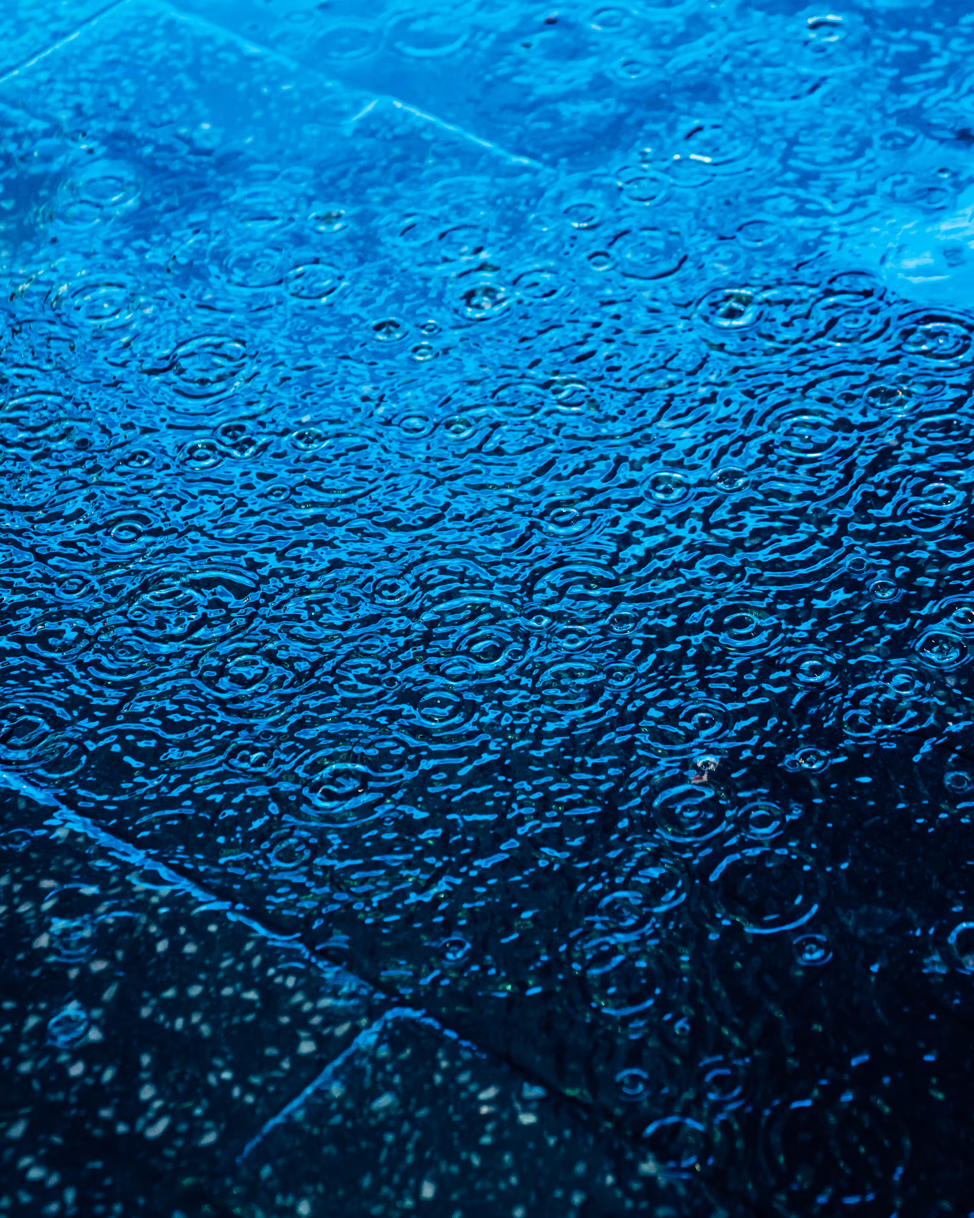 DRIP DROP: DRIP #890