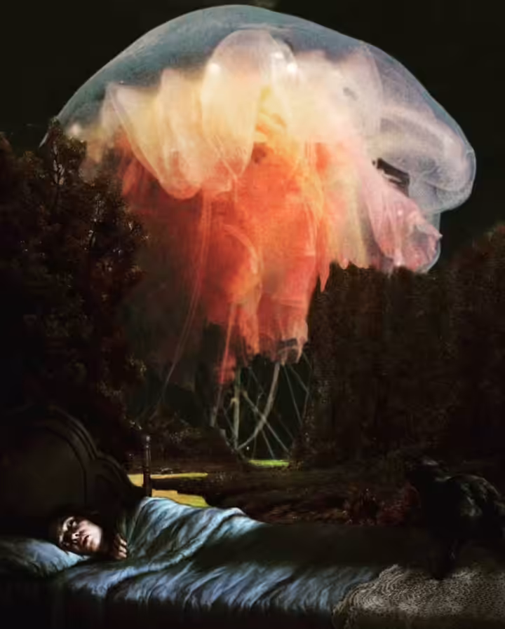 Meeting Giant Jelly Fish