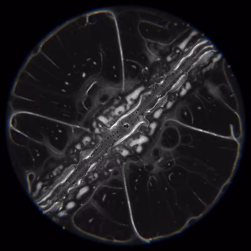 Ethereal Microcosm #83