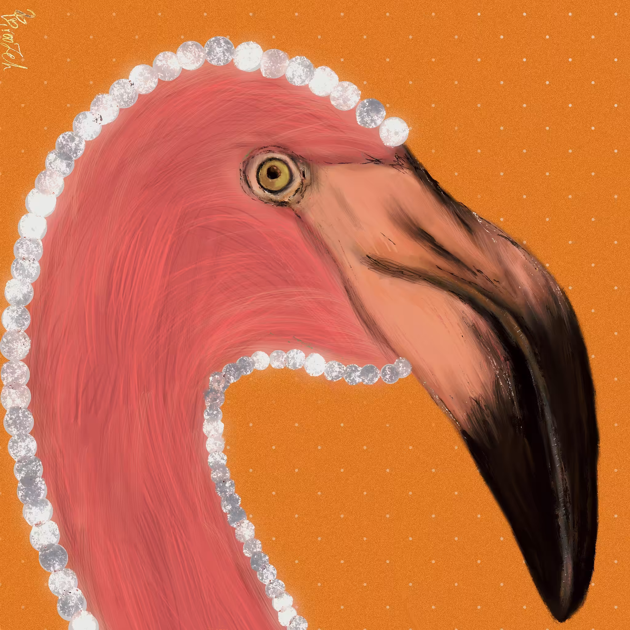  Zooming Me