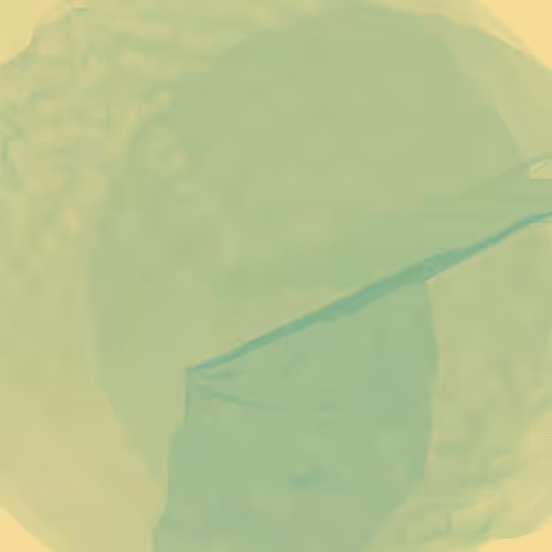 Lillypads #29
