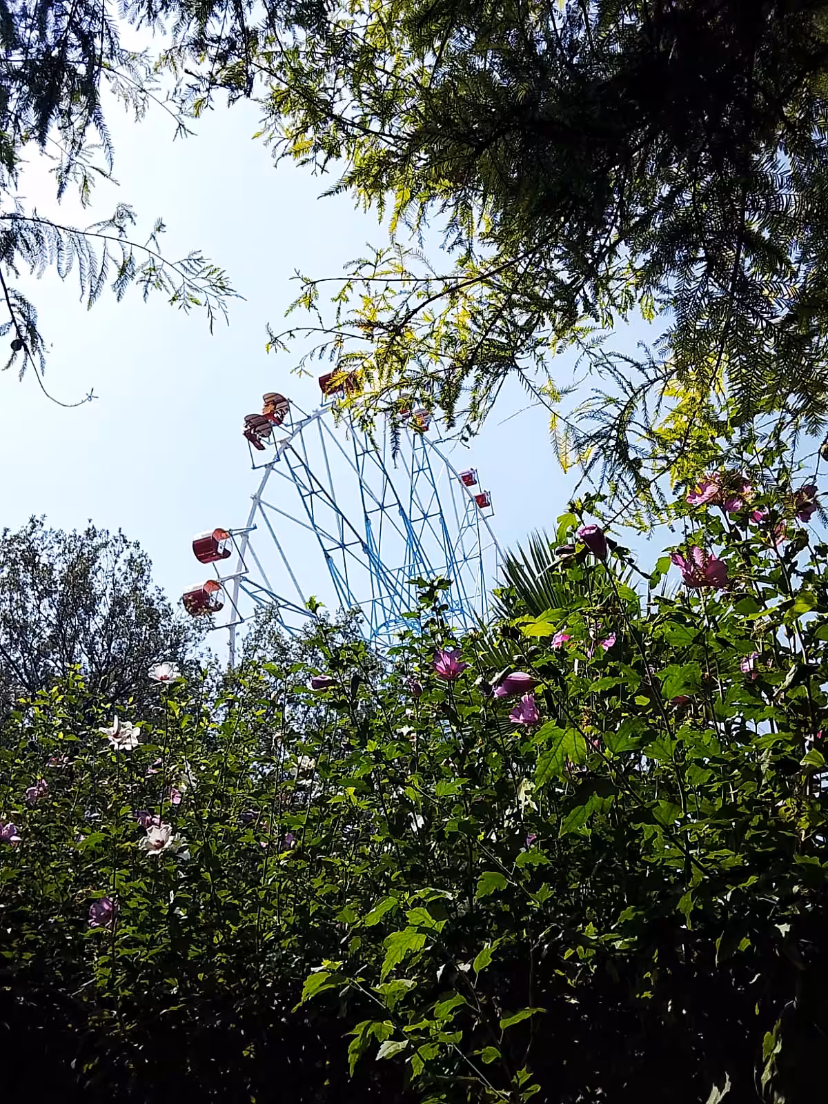 "walk in the park"