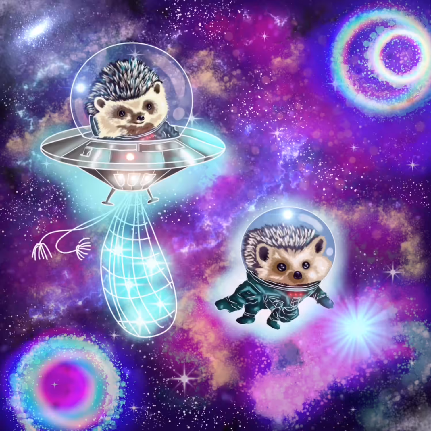 Hedgehogs Go Star-Fishing