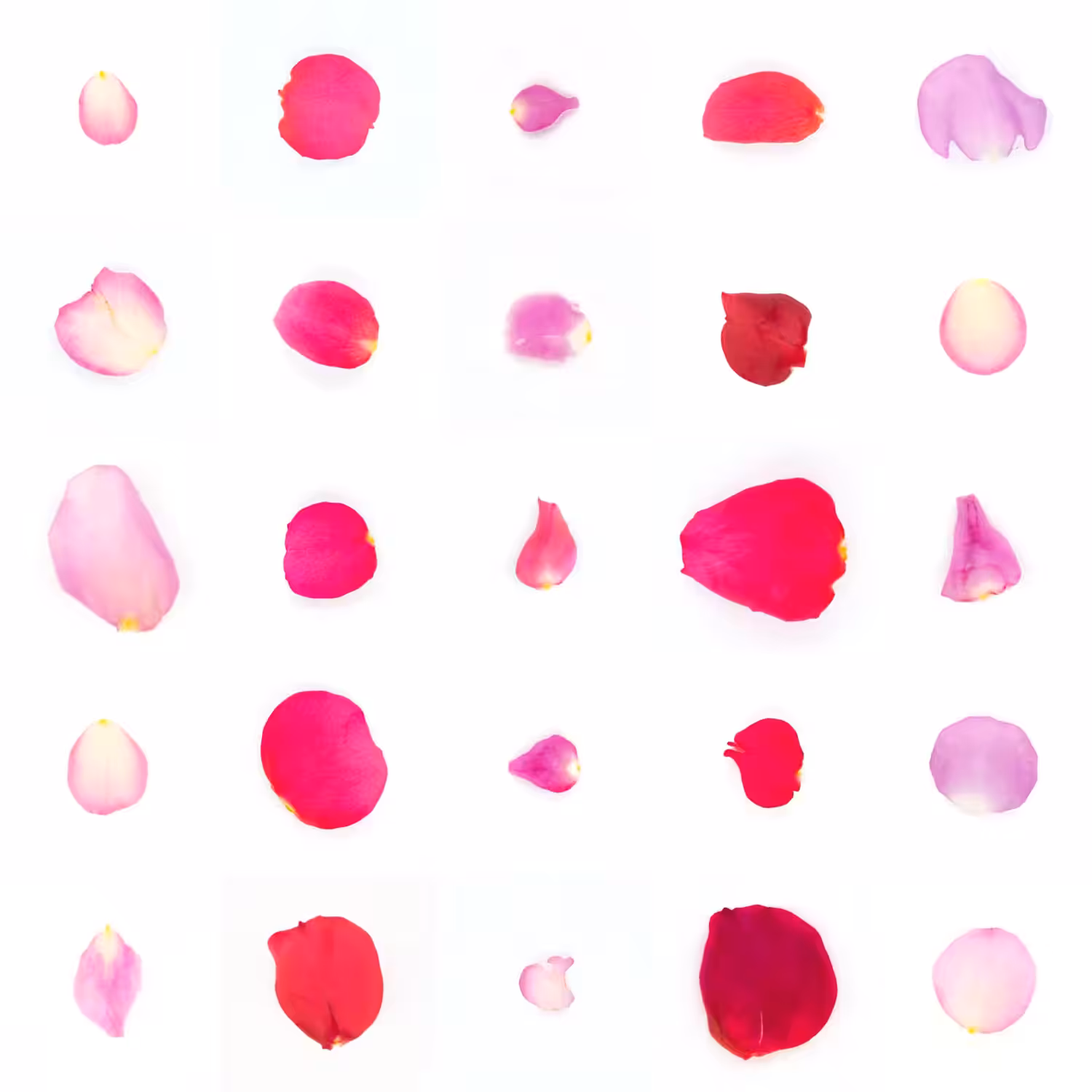 Infinite Petals 5x5#20825