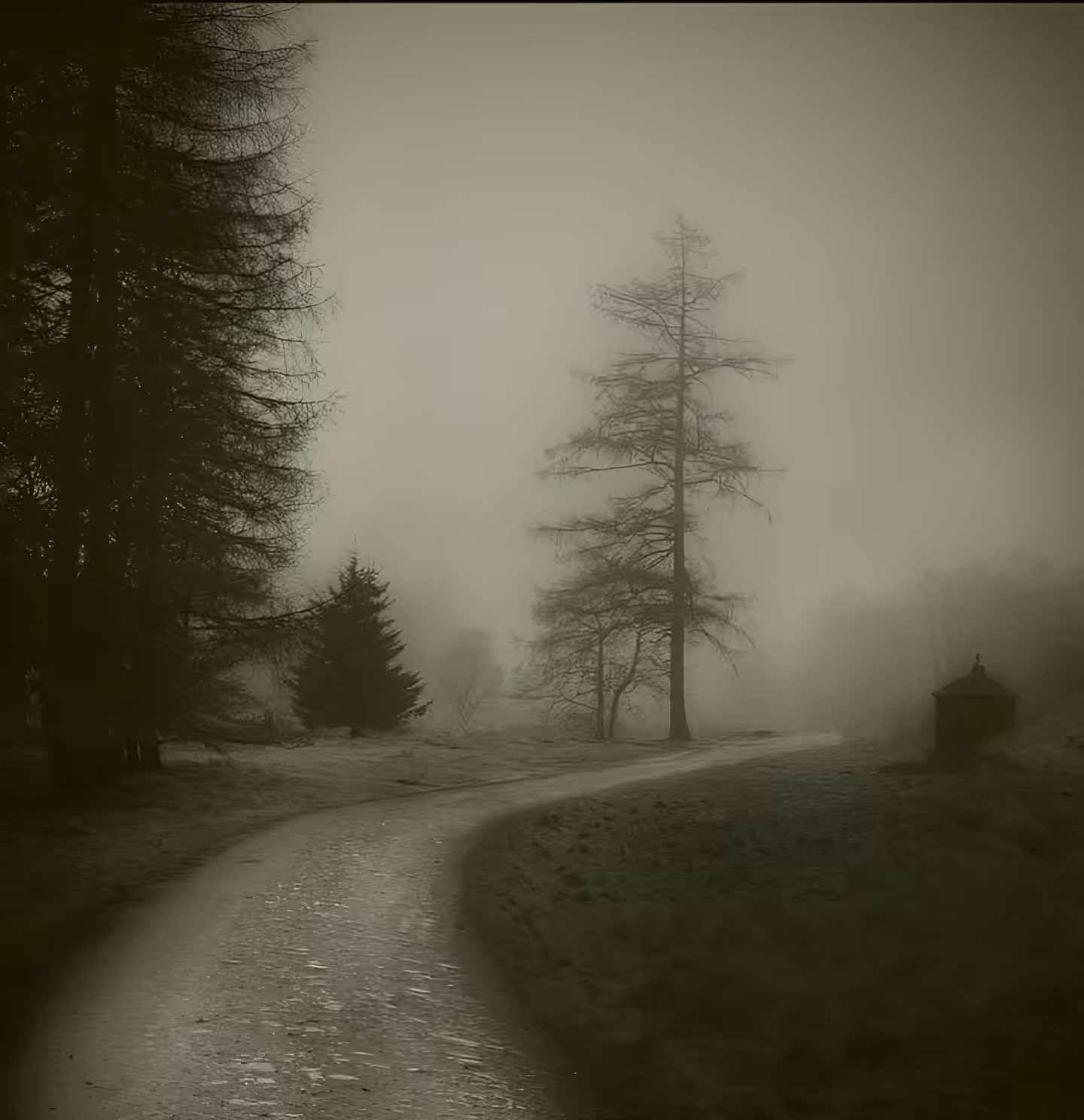 Ethereal Silence