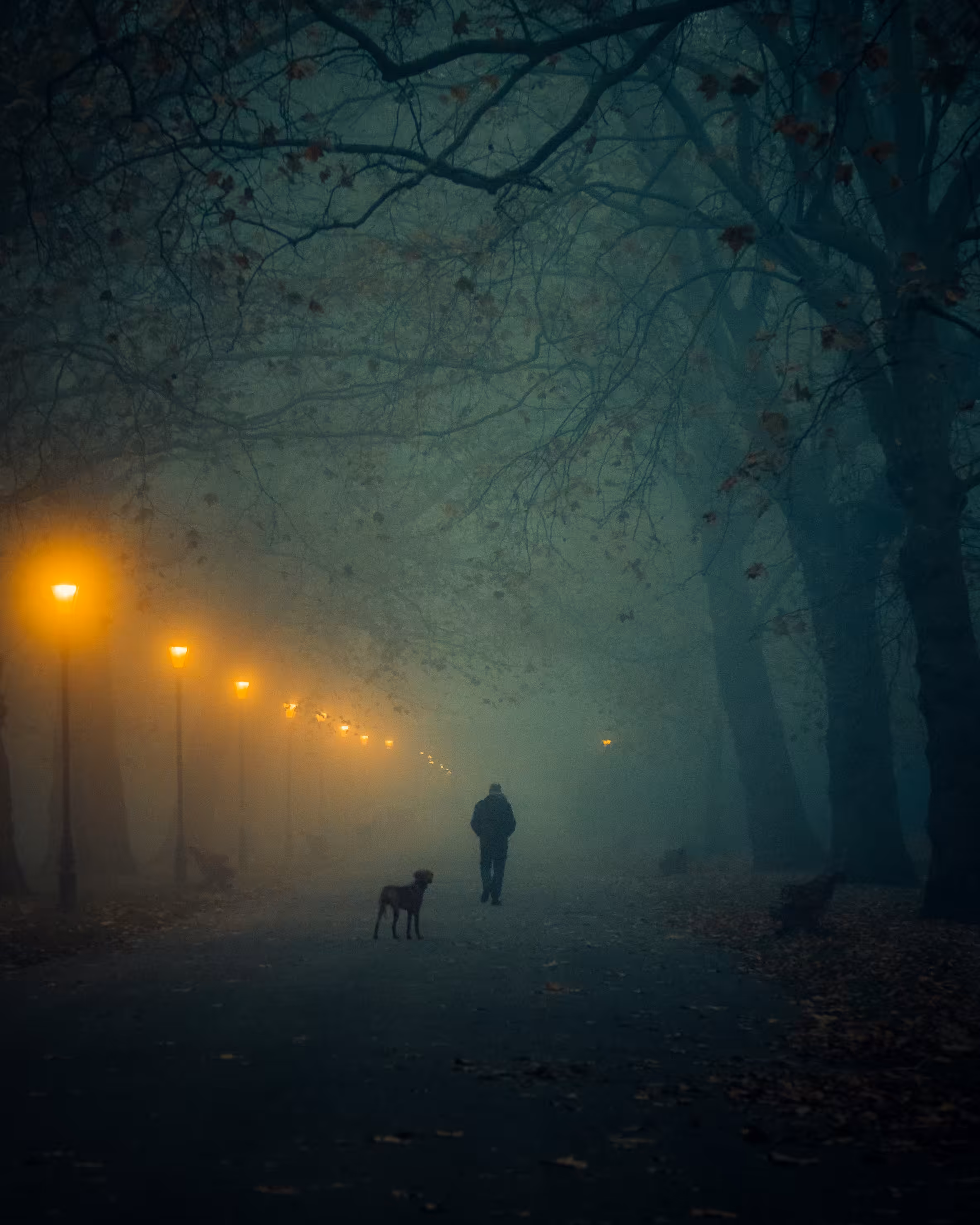 Lone Wanderer