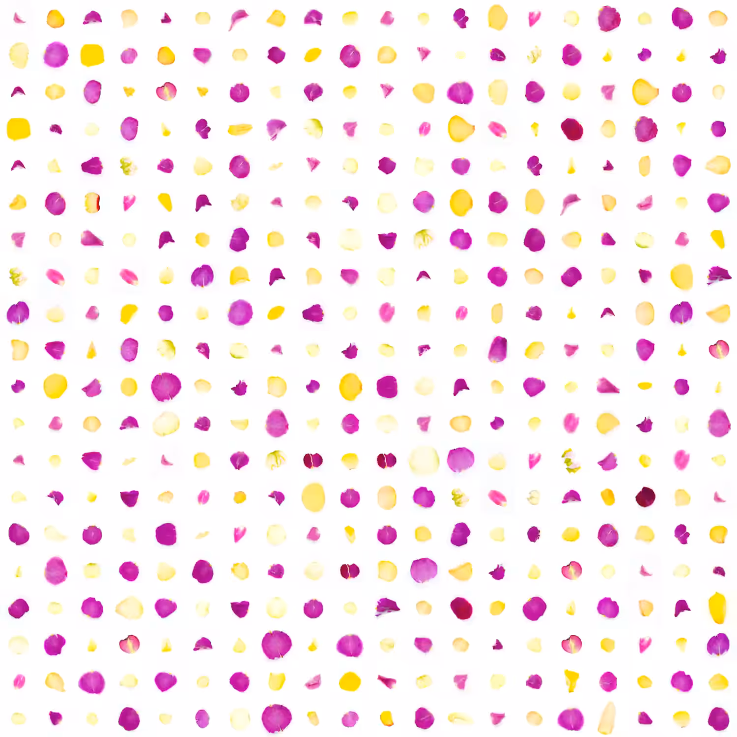 Infinite Petals 20x20#124397