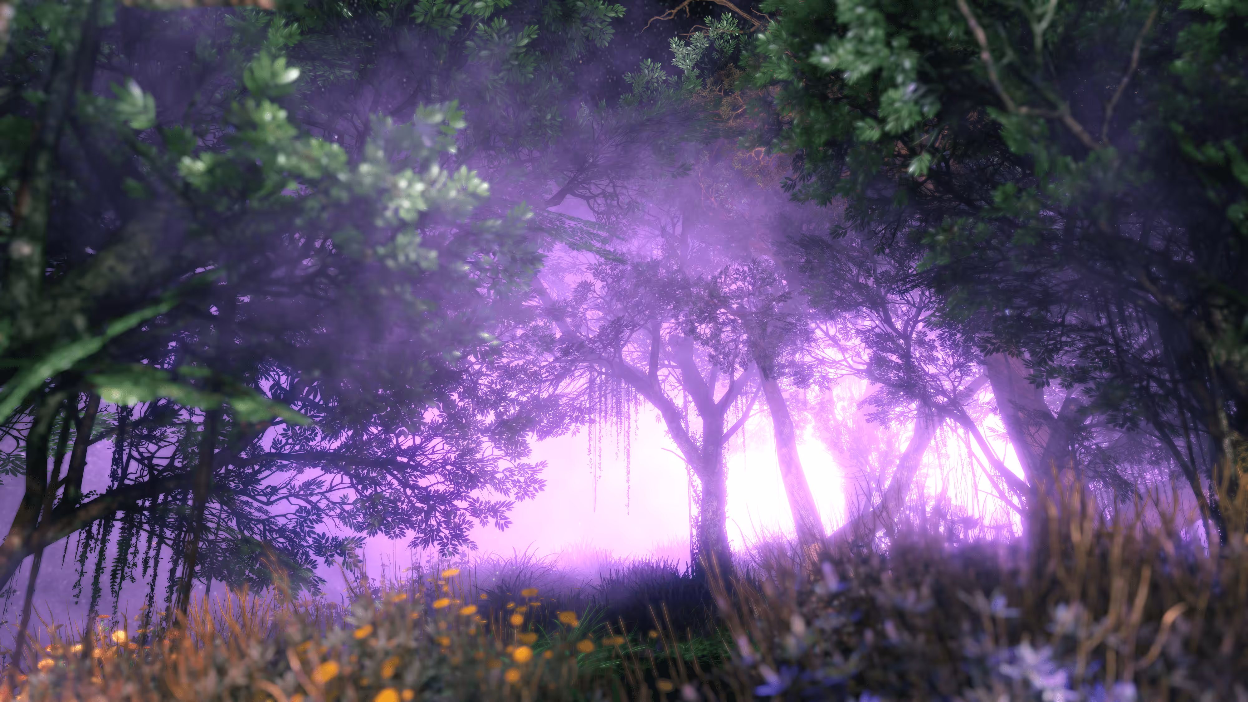 Hyper Landscapes #4