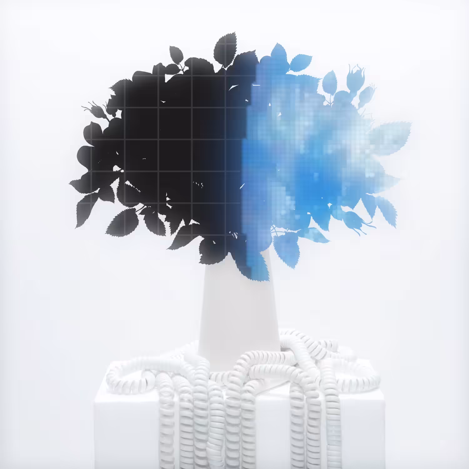 Connection 