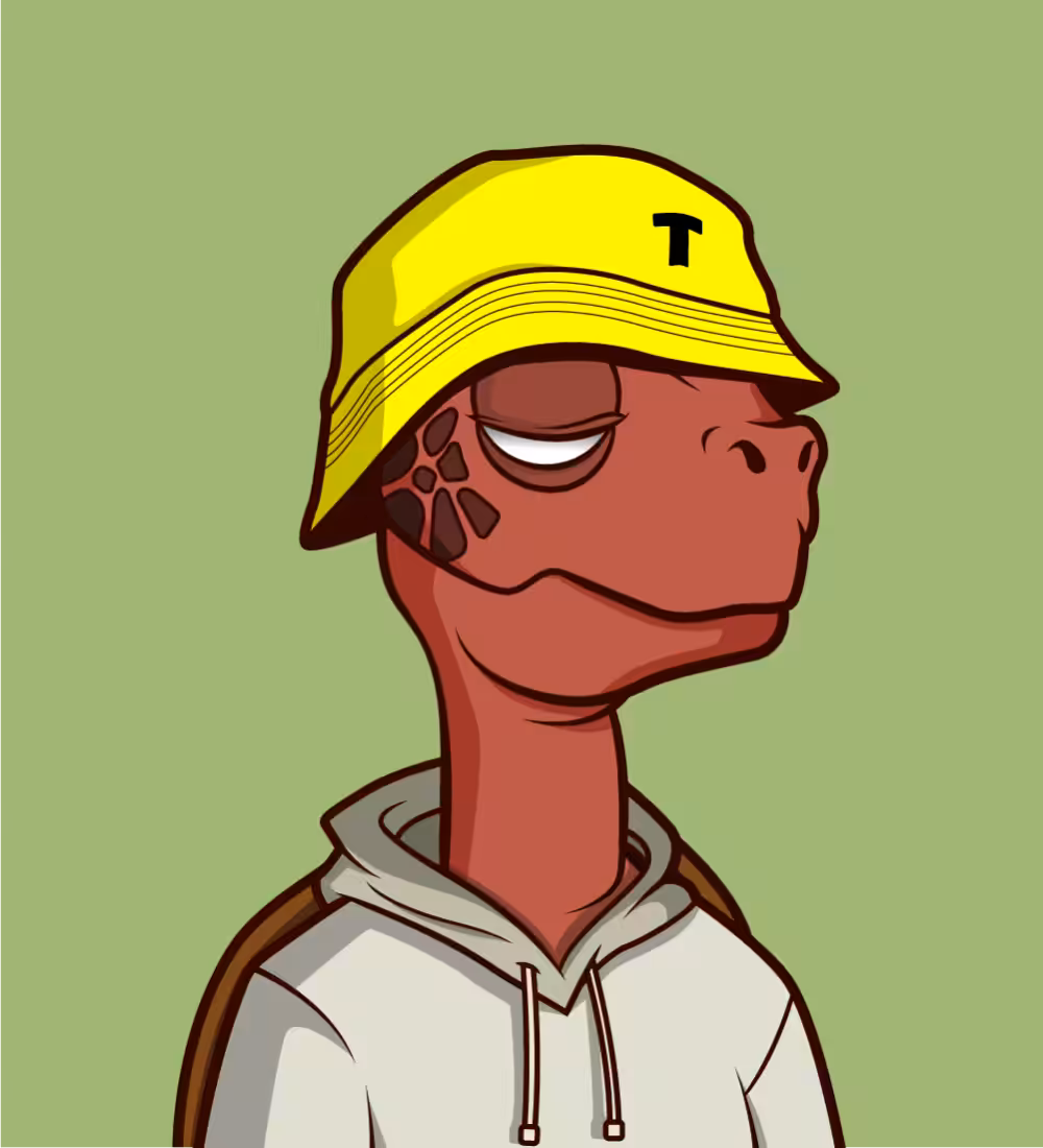 Tiny Turtle 50
