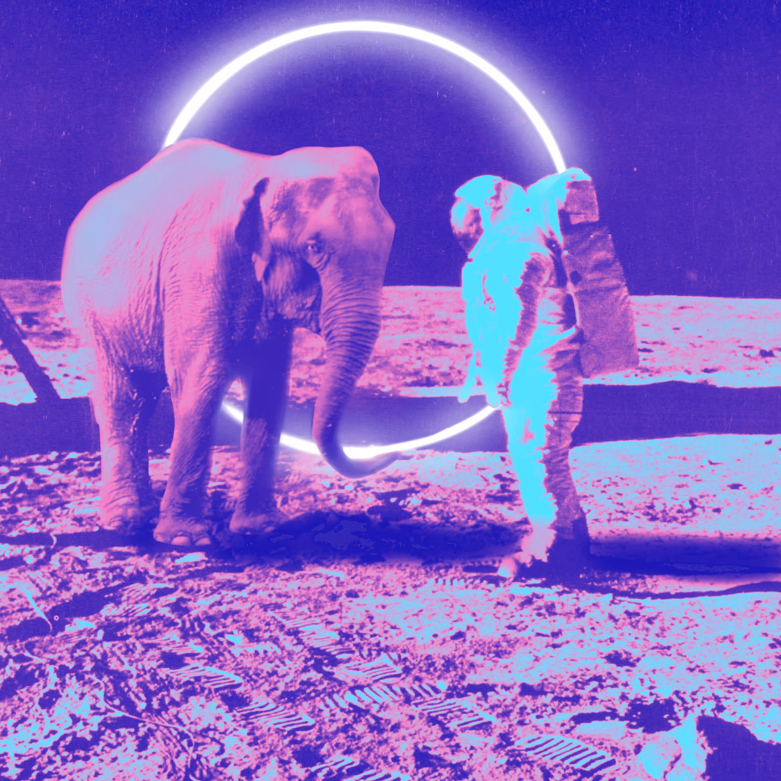 Elefant to the moon