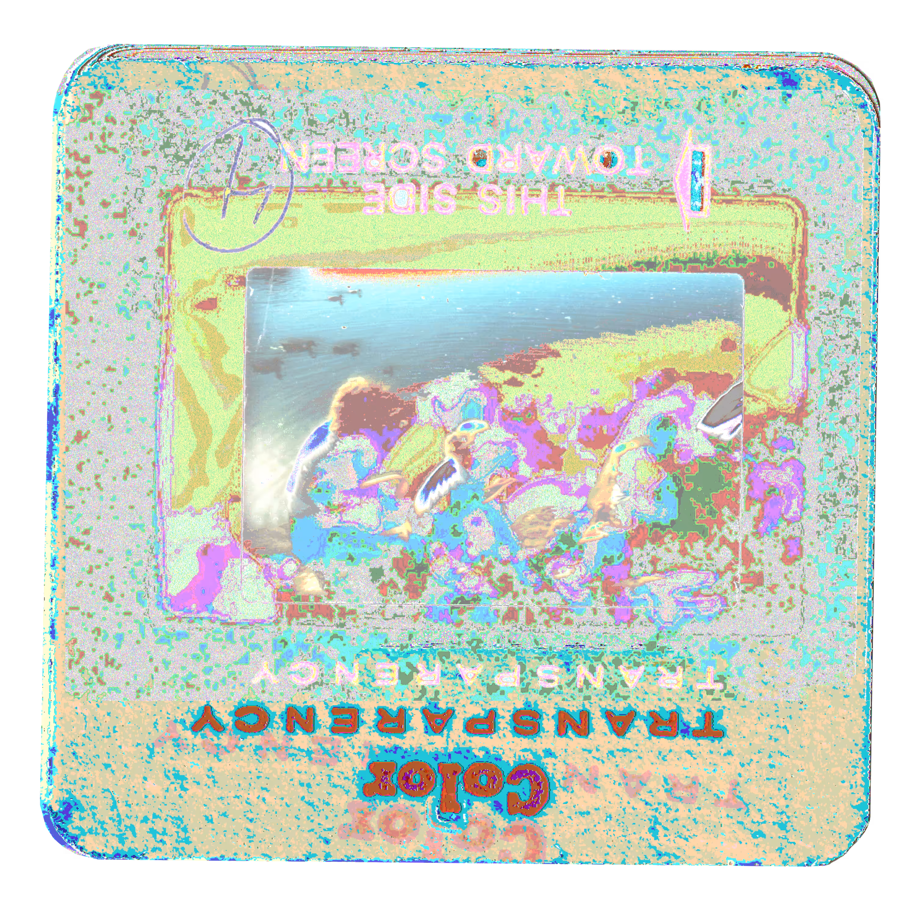 slideshow
