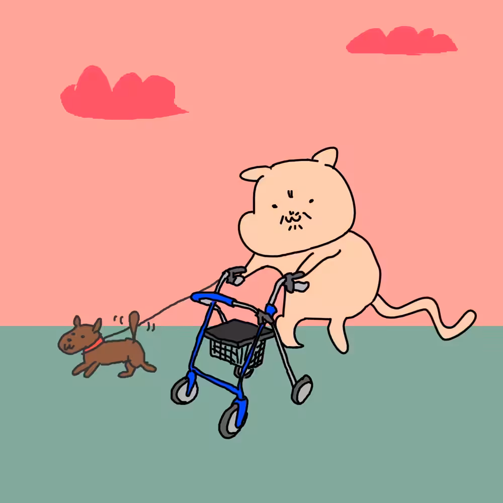 Walking the dog