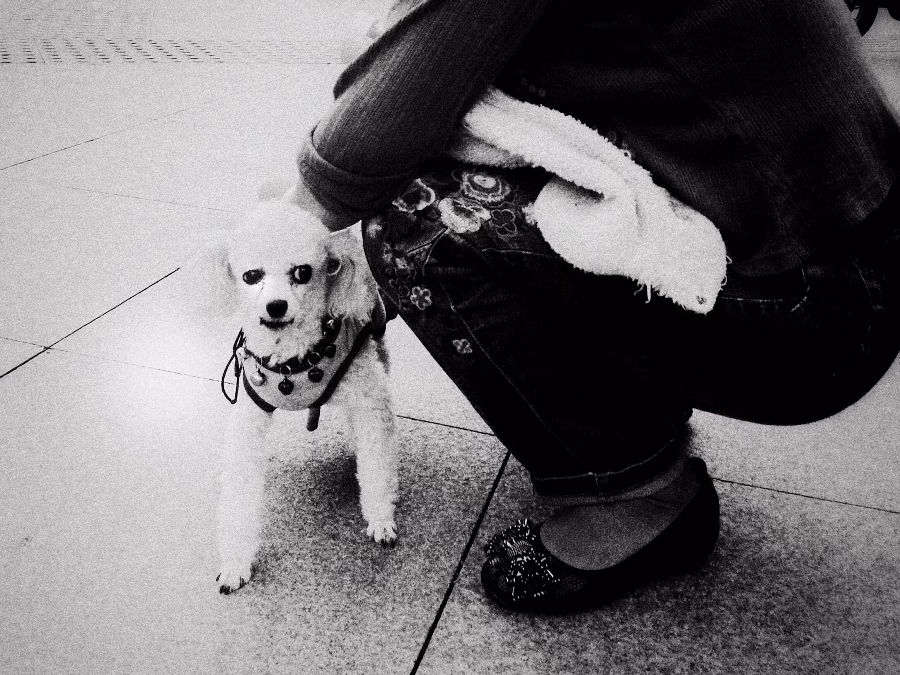 BWChina #54