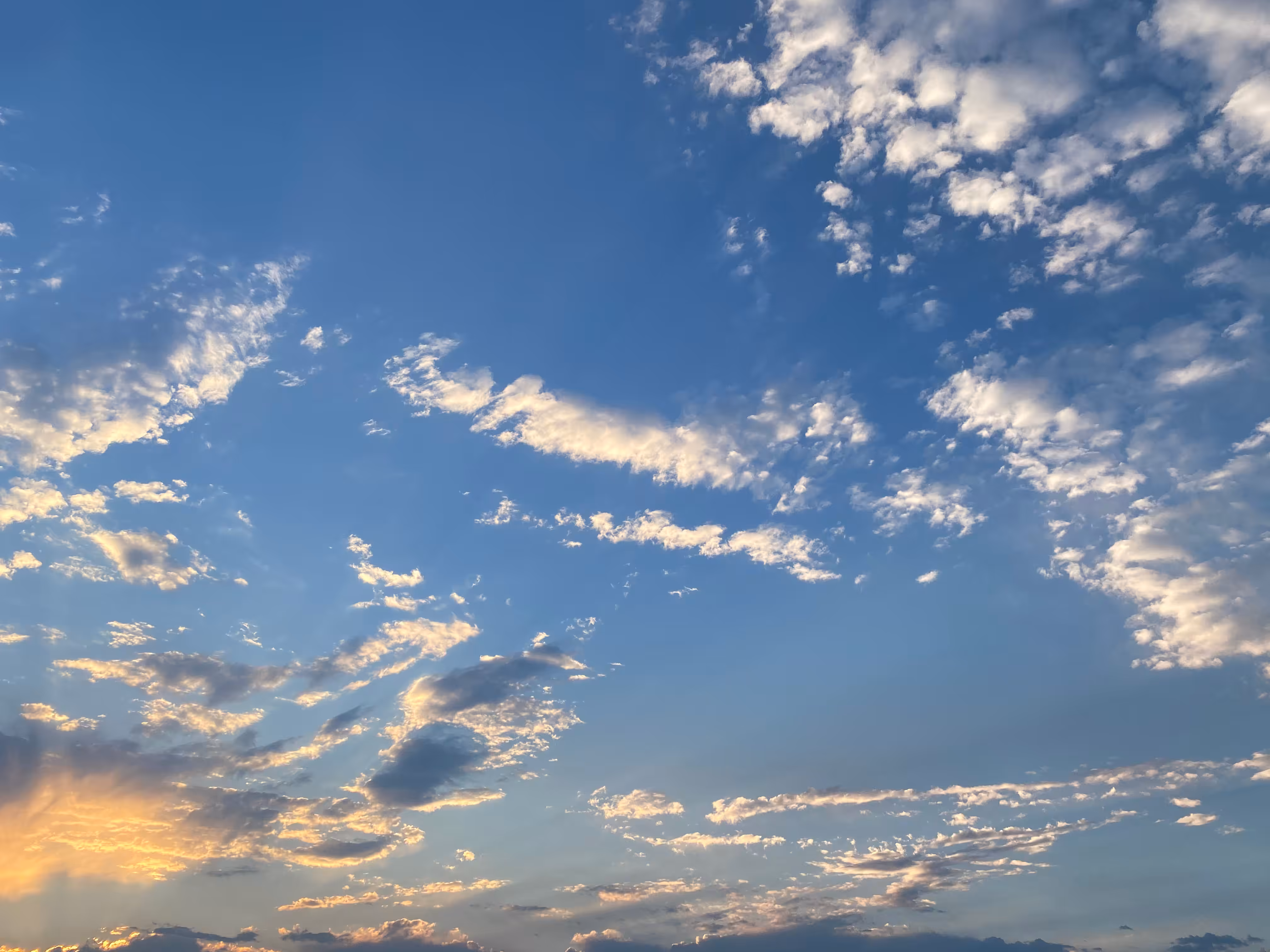 Tuesday, August 11 2020