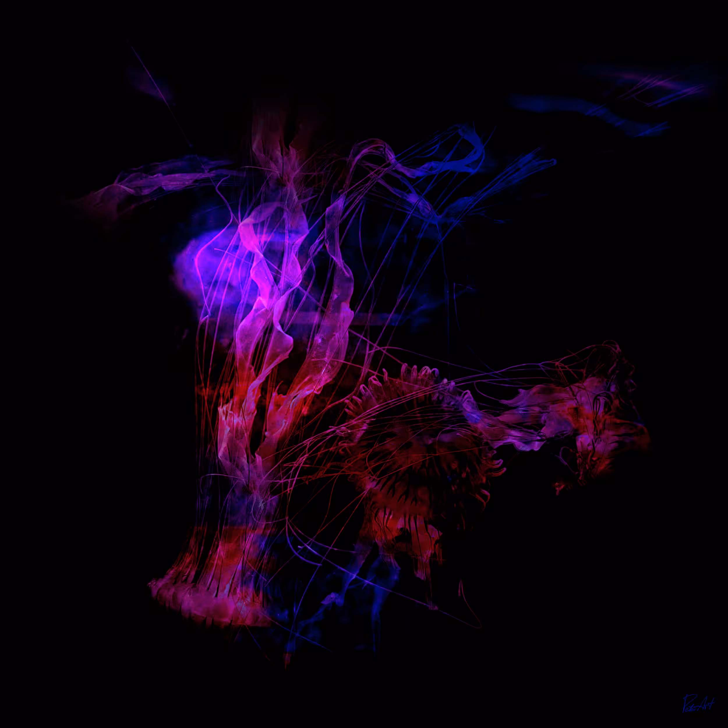 Nebula