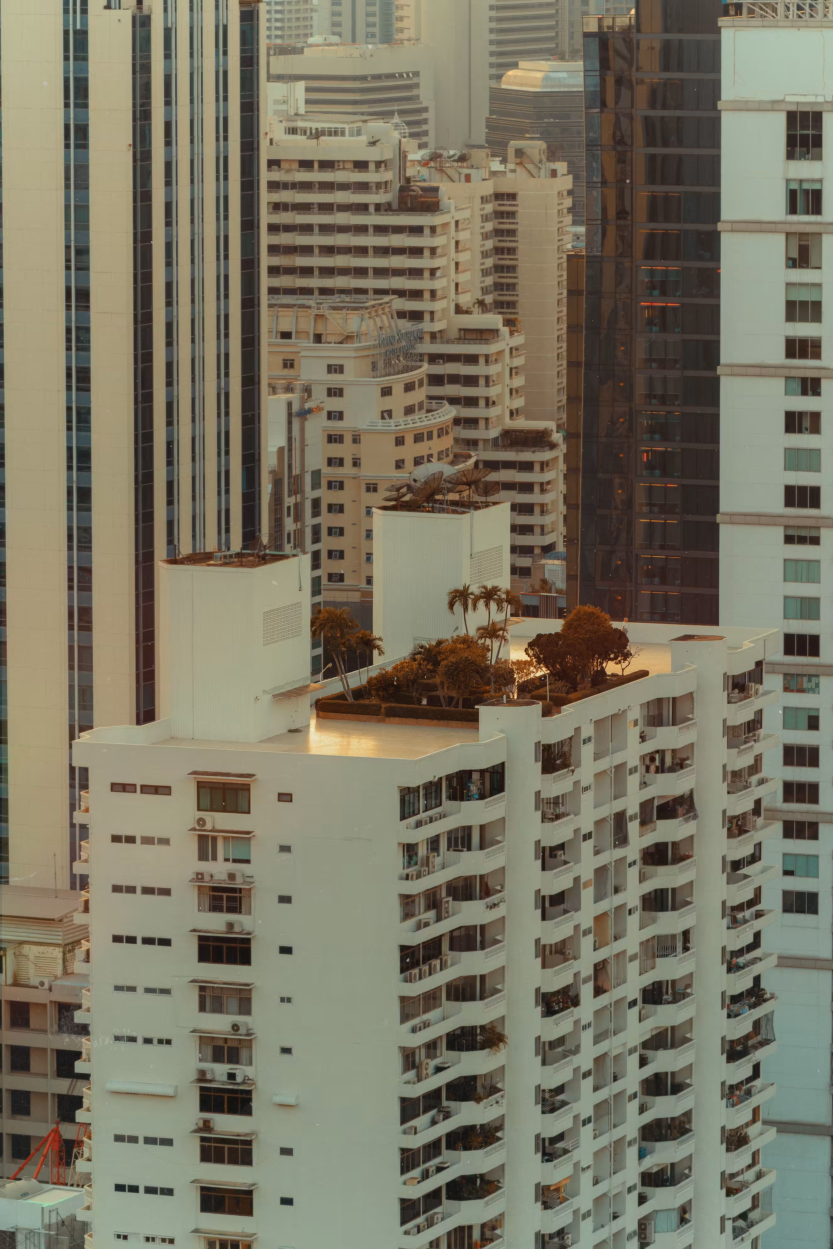 🏝 A tiny island on top of a building 🏝