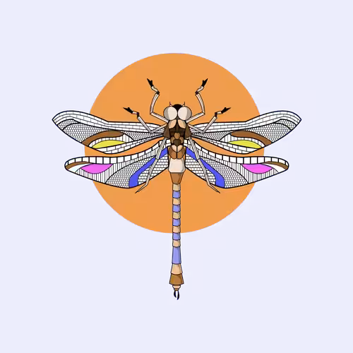 Anisoptera Tetradic: Saffron Thread