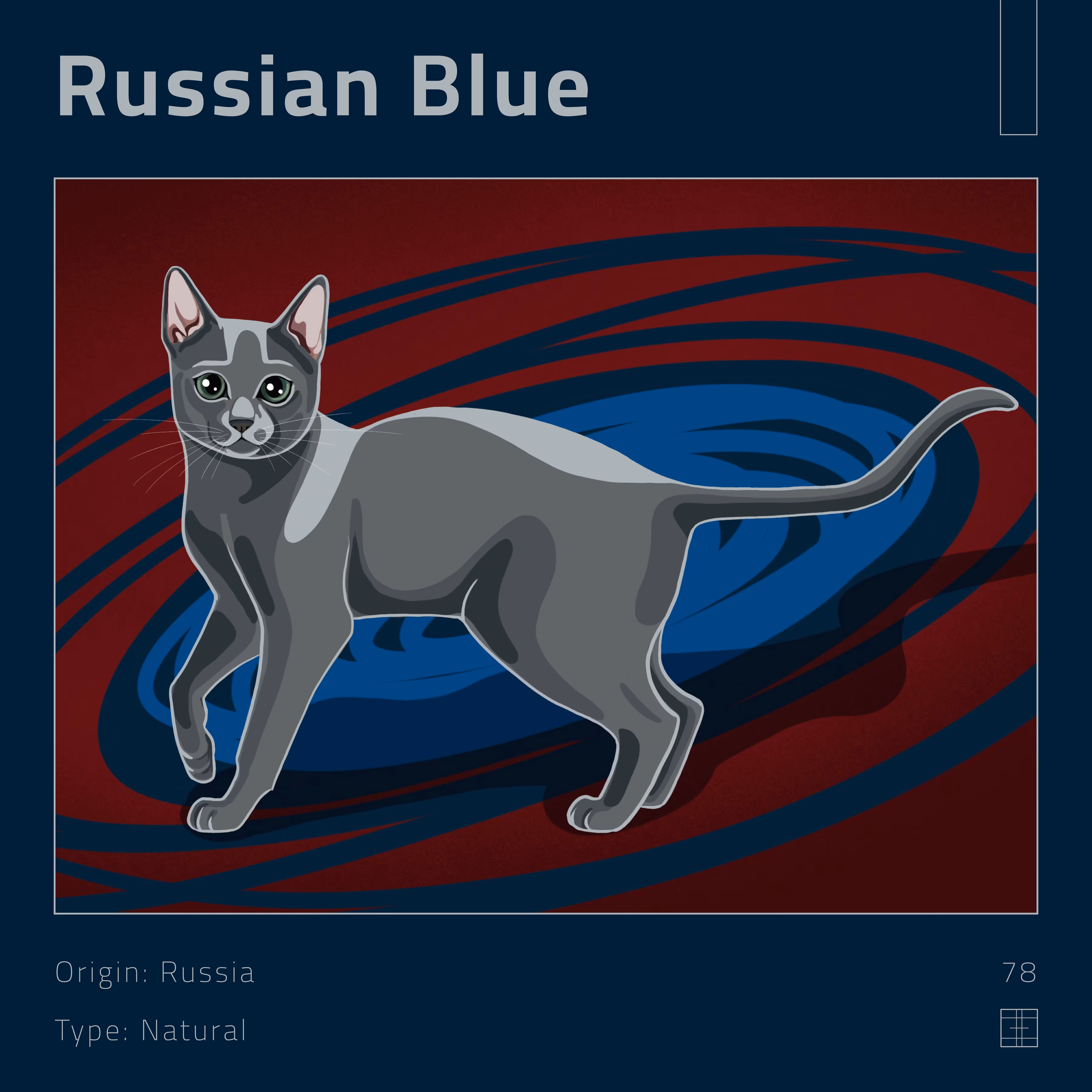 78 – Russian Blue