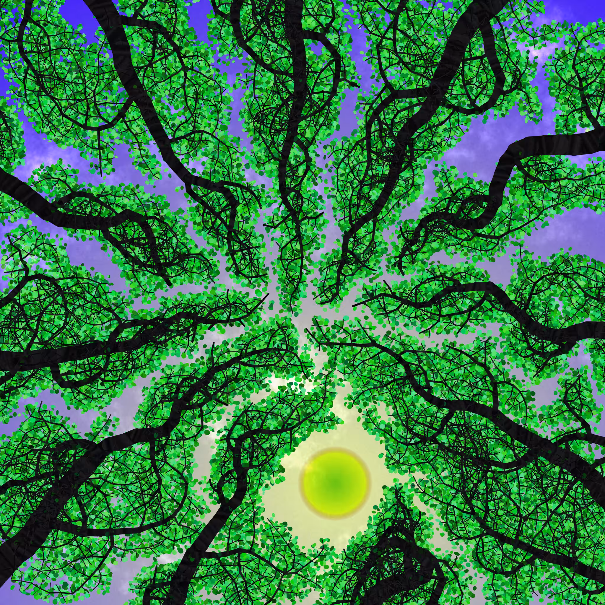 Tree Skyness #196