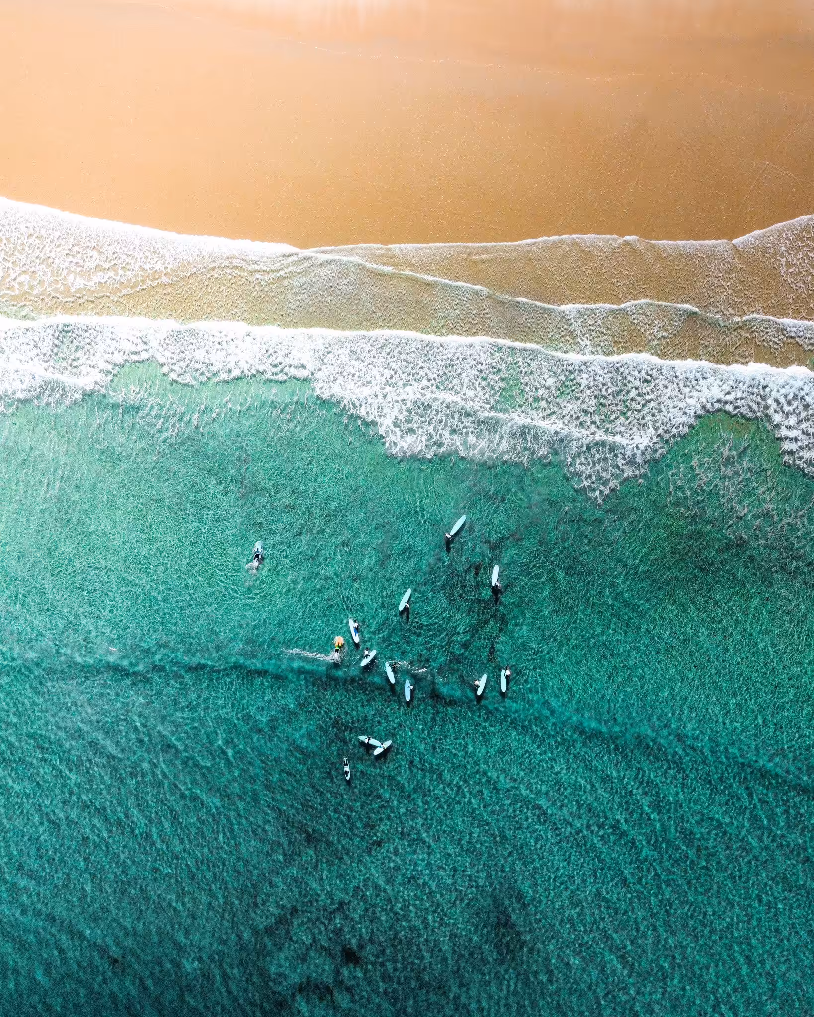 Ocean's Playground