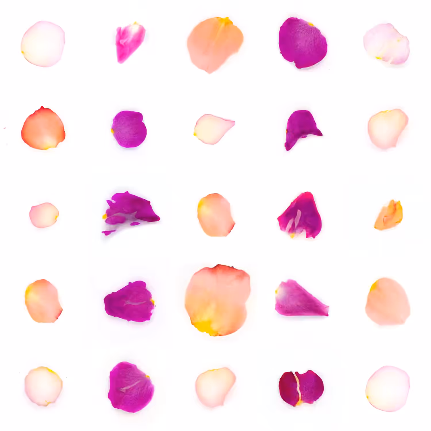 Infinite Petals 5x5#20441