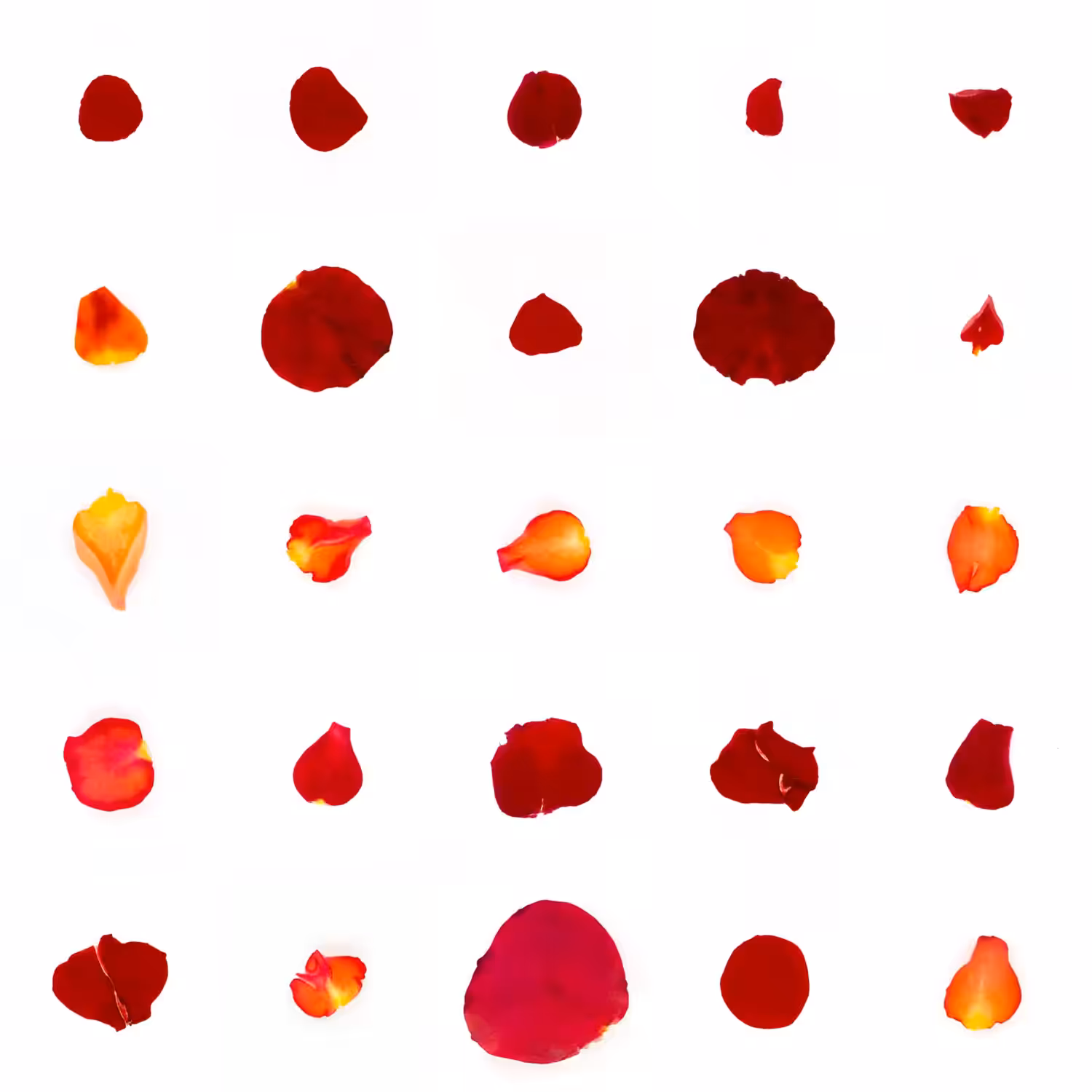 Infinite Petals 5x5#1299