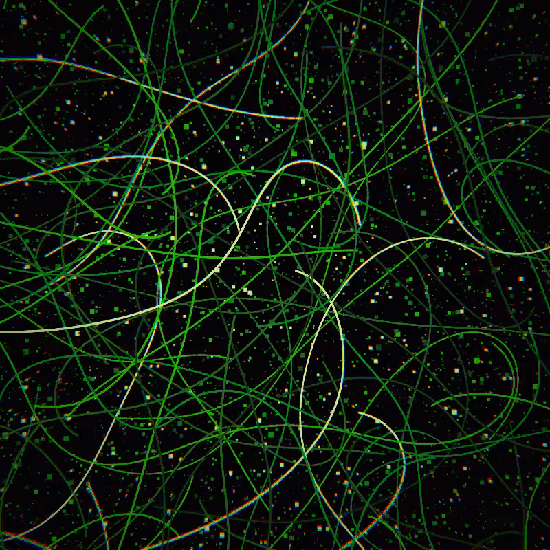 Neon Curves #13