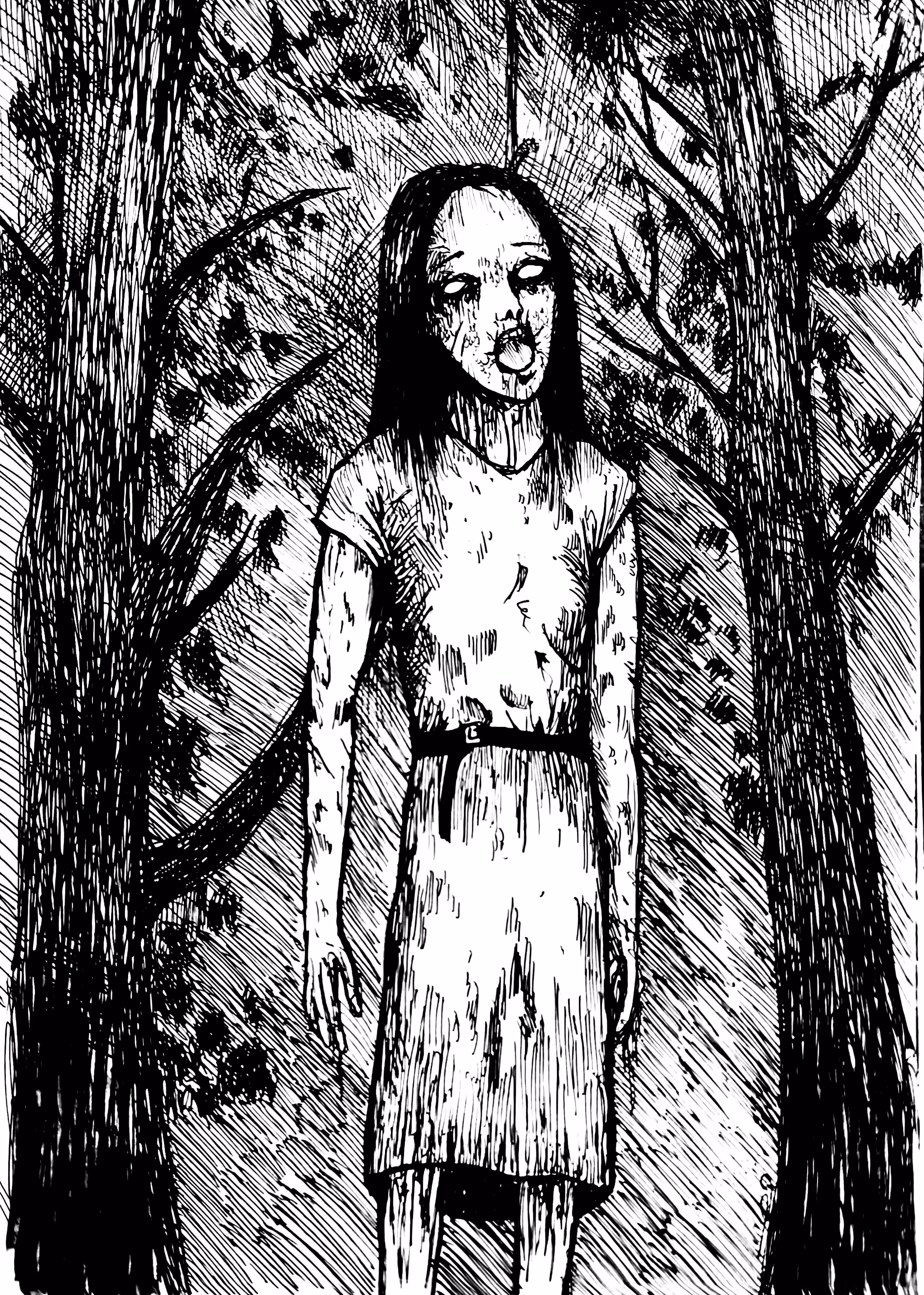 The Forest's Silent Witness
