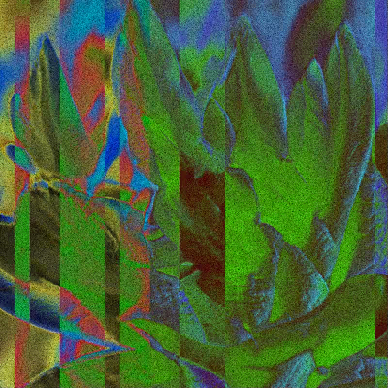 CLDCSMC #68