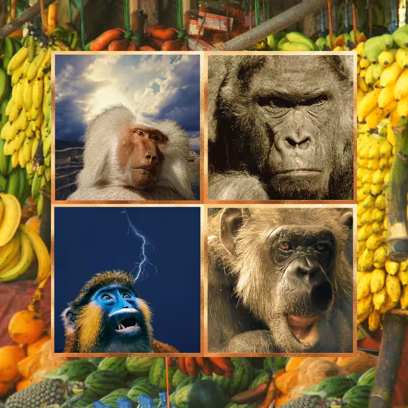 Banana legends #61