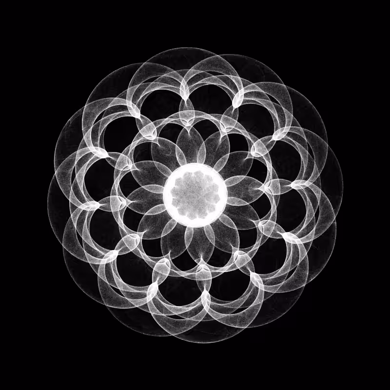 Many worlds #164