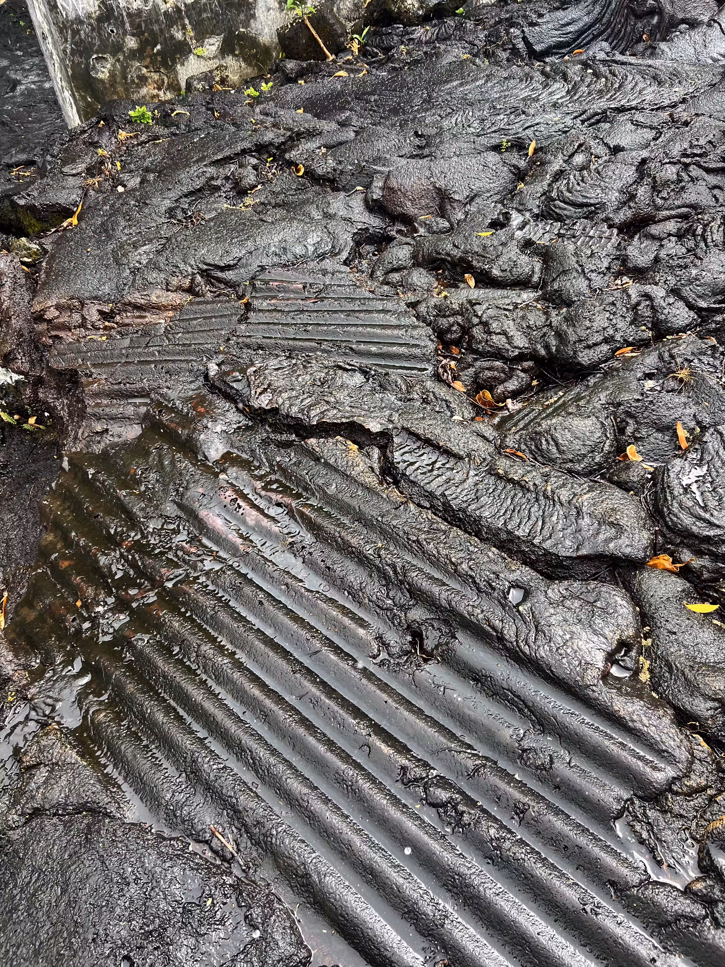 The Fallen Roof