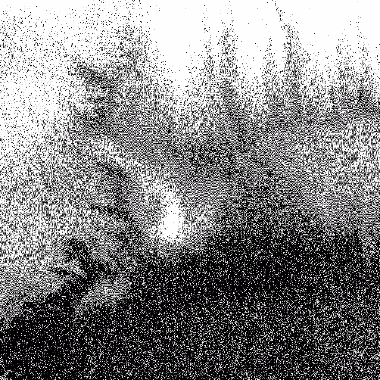 Storm #2