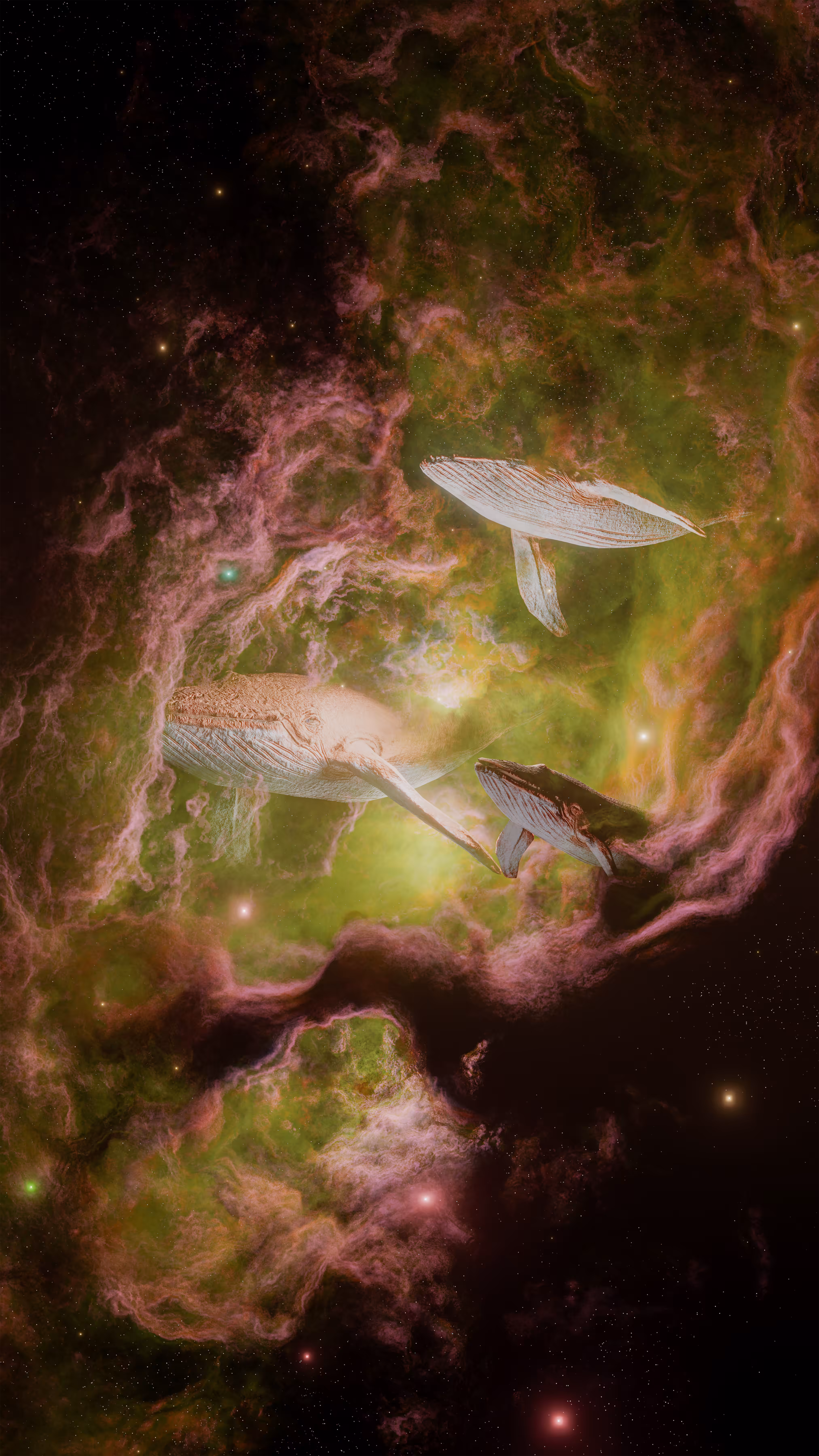 Universe 2