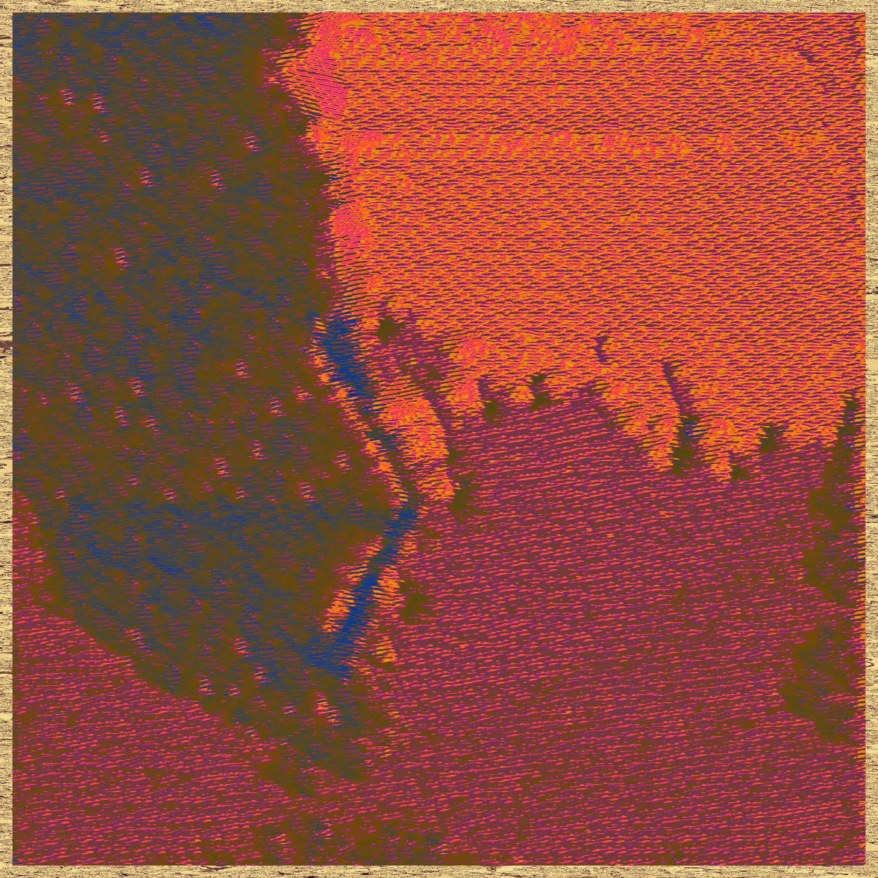 Wildflowers XIX