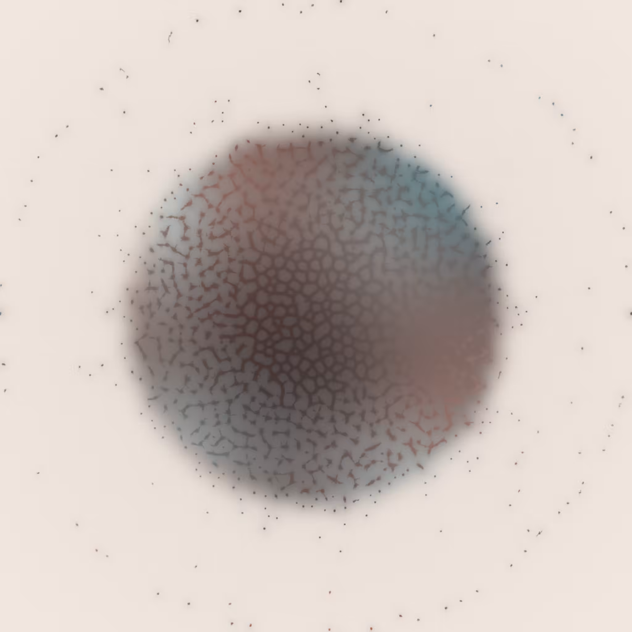 Agnoscopic #1