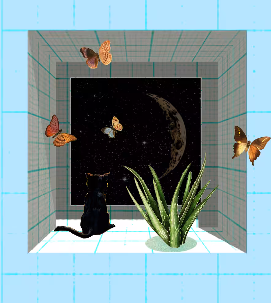 collage jjjjjjjjjjohn window