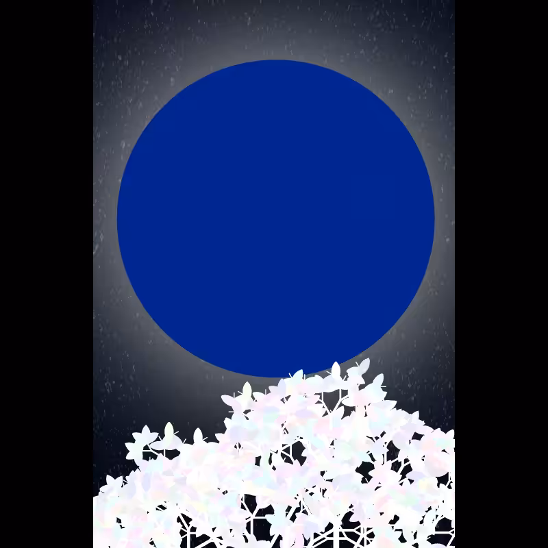 Moonlight Sonata #127