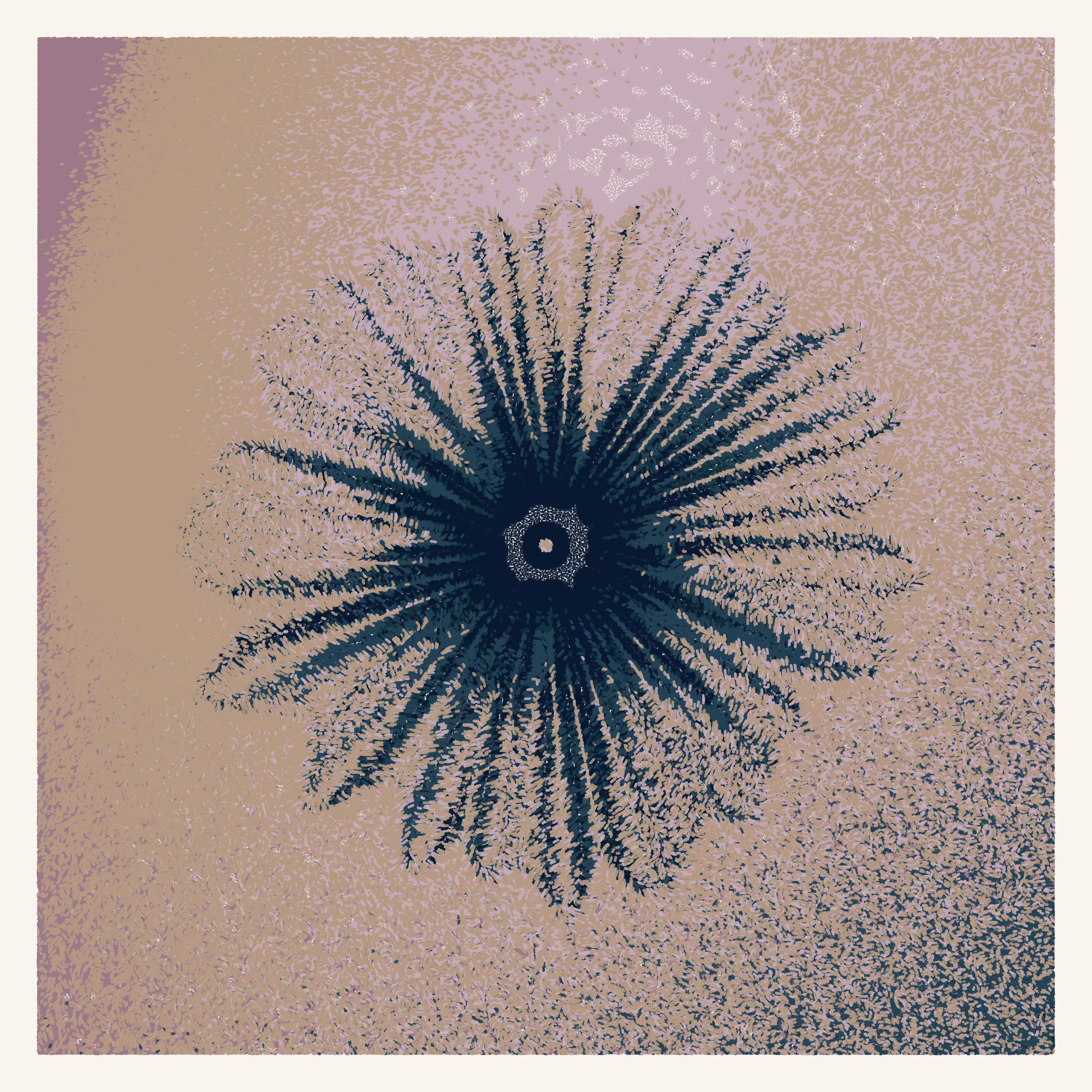 Flower Portrait #67