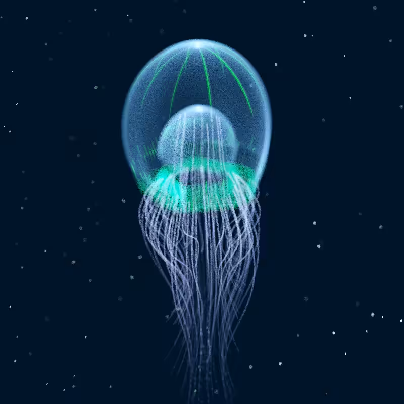 Creatures of the Deep #1 - The Jellyfish #7
