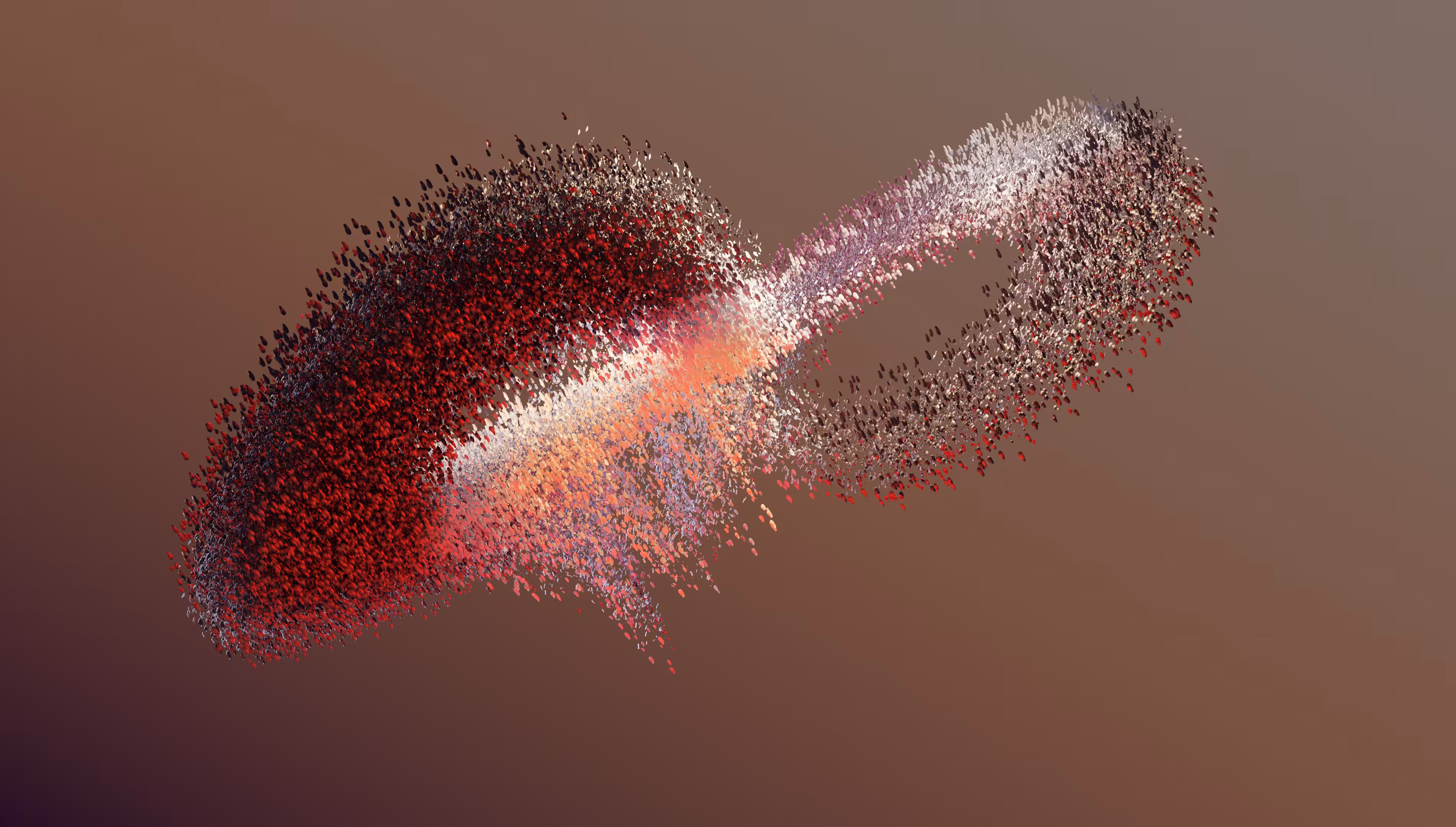 A full Lorenz of petals