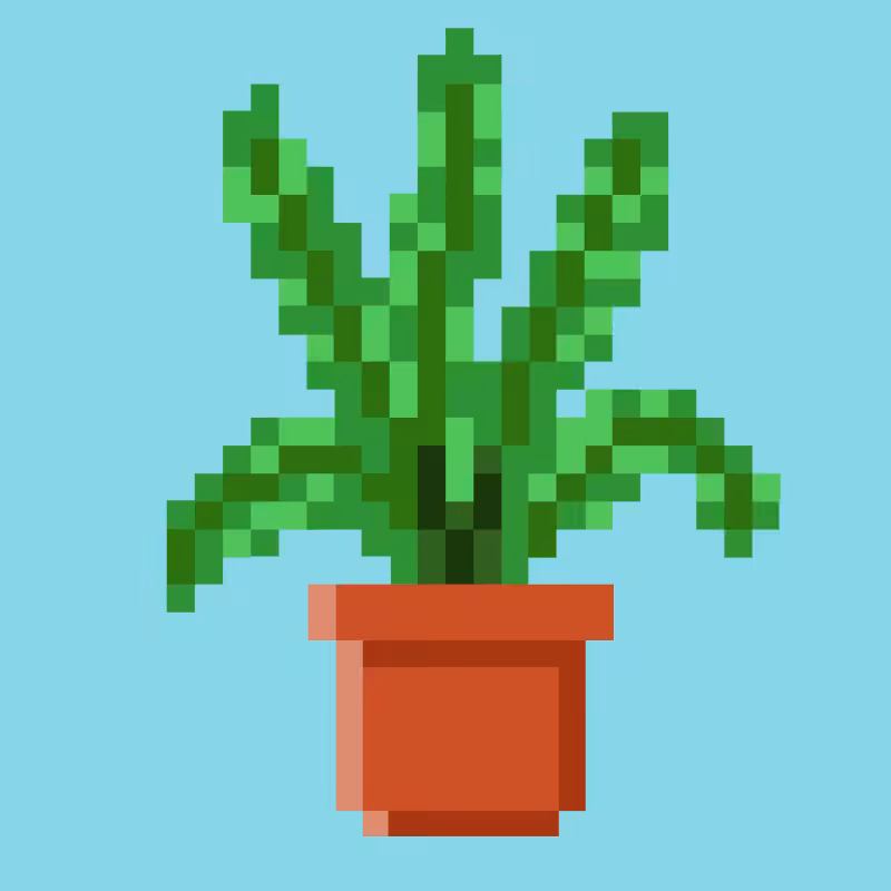 Tez Plants #11