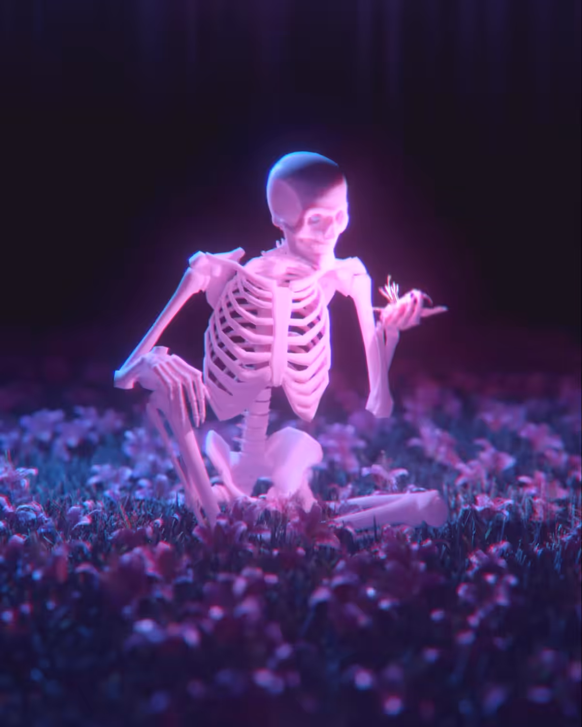 Curiosity