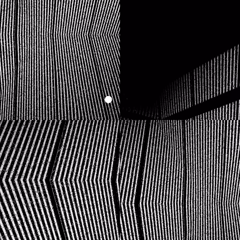 CARBON #21