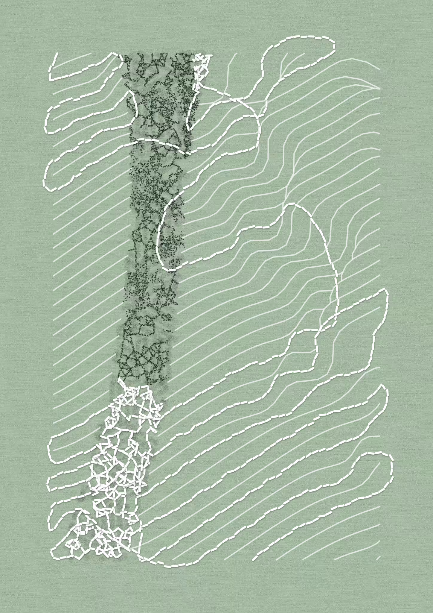 Aux Arbres #6157